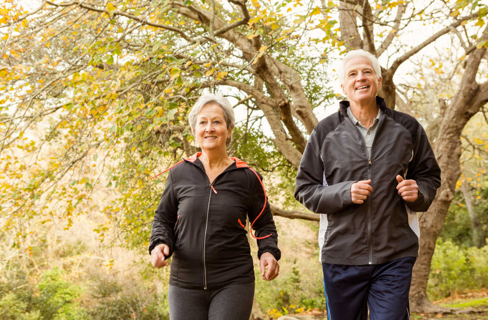How Much Physical Activity Do Older Adults Need? – La Vida Llena Life Plan  Retirement Community