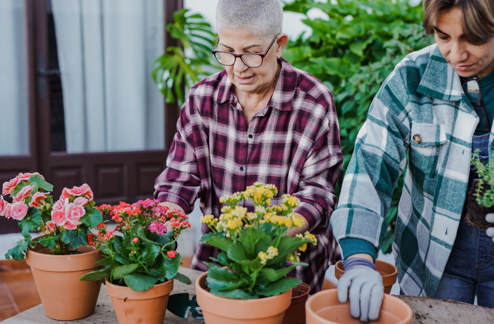 An elderly person and a young person both wearing flannel shirts stand side by side while potting flowers on a table